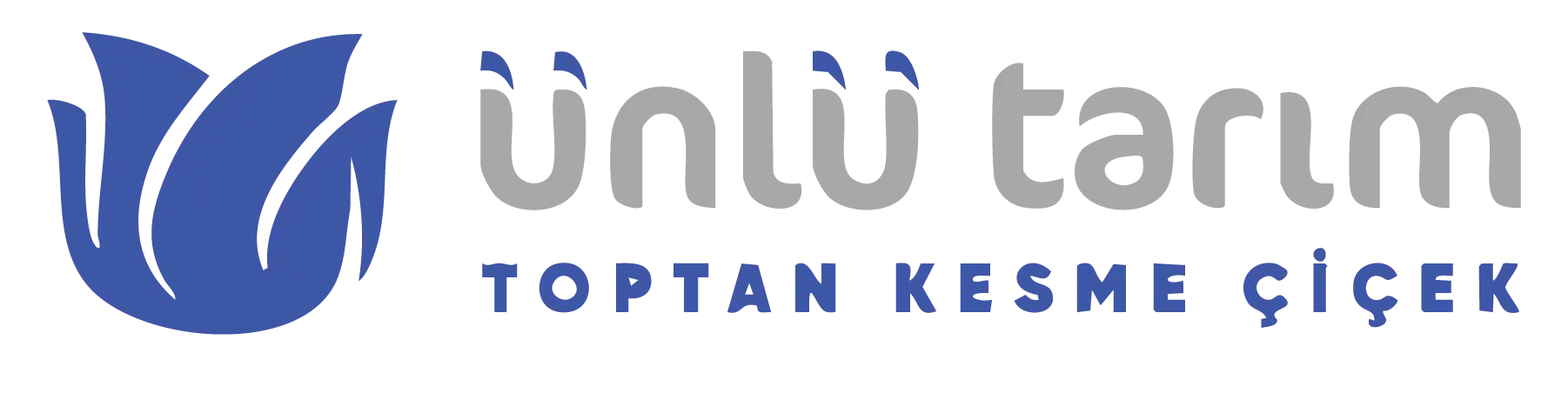 Ünlü Tarım Kesme Çiçek | Manisa Kesme Çiçek Üretimi ve Satışı