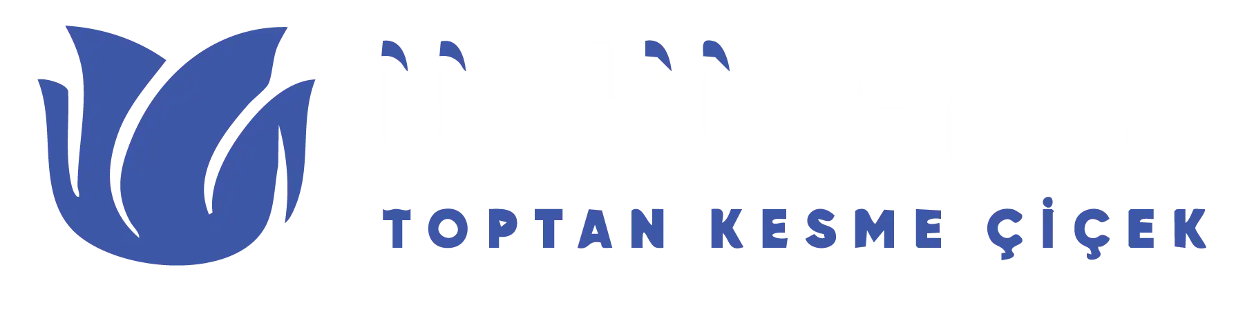 Ünlü Tarım Kesme Çiçek | Manisa Kesme Çiçek Üretimi ve Satışı